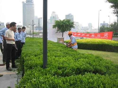 江北區綠化養護中心 打造城市綠色生態新名片