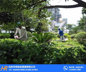深耕細作護綠蔭，杭州華榮物業的景觀綠化養護實踐