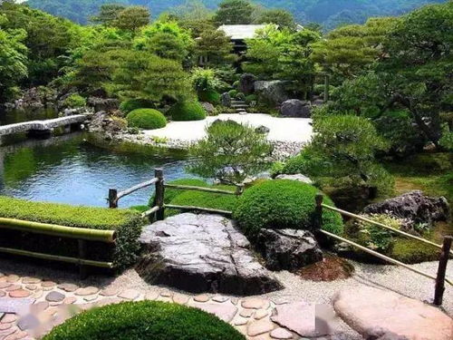 干貨丨植物設計和綠化養護的思考 從共生到可持續發展